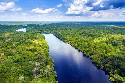 River in the middle of a forest - Code-for-Development - Inter American Development Bank - IDB